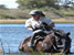 Horse riding in Okavango Delta -Botswana